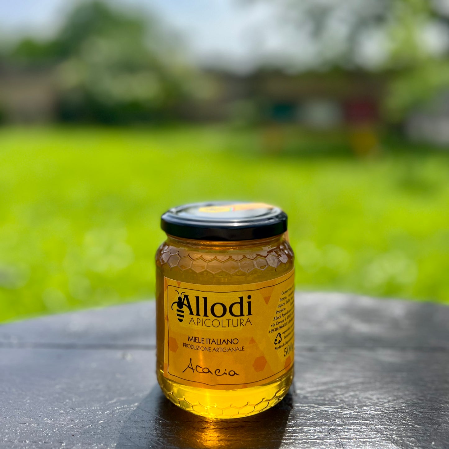 Miele di Acacia