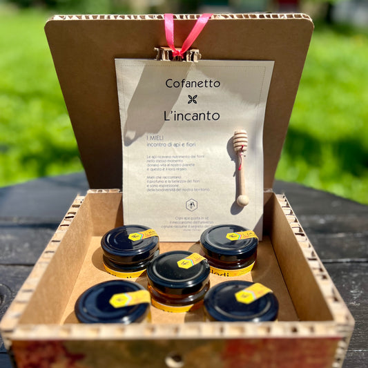 Box Degustazione Miele x5