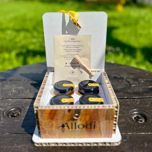Box Degustazione Miele x4